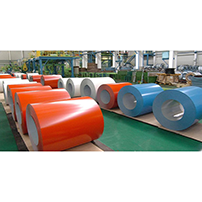 Color Painted Steel Coil